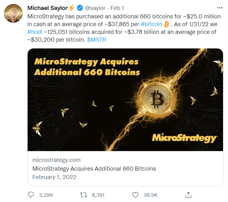 사진=마이클 세일러 마이크로스트레티지 최고 경영자 트위터 계정