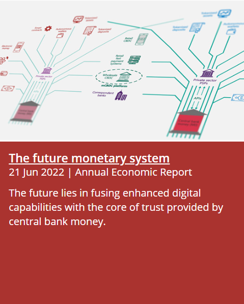 국제결제은행의 연례보고서인 ‘미래 통화 시스템(The Future monetary system)’