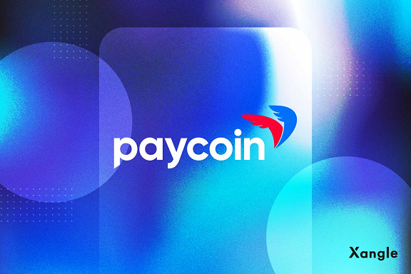 ‘페이코인, 암호화폐 결제 플랫폼의 지속가능성을 묻다’(사진=쟁글)