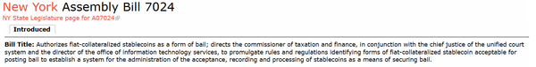 스테이블코인을 법정 보석금 지불 방식 중 하나로 도입하자는 내용의 법인이 최근 뉴욕주 의회에서 발의됐다(사진=뉴욕주 의회)
