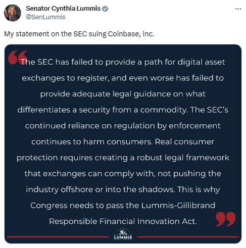 신시아 루미스 상원의원은 미국 증권거래위원회가 시장 단속을 이행에 의한 규제에 의존하고 있다고 비판했다(사진=트위터/ 신시아 루미스)