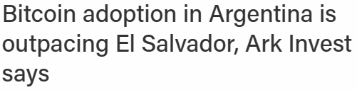 아크인베스트먼트는 아르헨티나의 비트코인 사용률이 엘살바도르보다 높다고 전했다(사진=더블록)