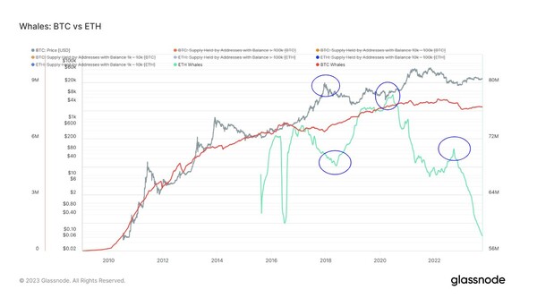 글래스노드에 따르면 이더리움 큰손 투자자(초록색 선)은 지난 2021년 이후 감소했으나, 비트코인 큰손 투자자(빨간색 선)은 꾸준히 유지됐다(사진=글래스노드)