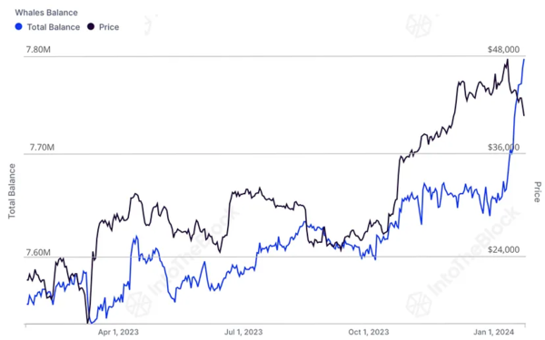 비트코인 가격(검정색 선)과 큰손 투자자 보유 비트코인 수(파란색 선)(사진-인투더블록)